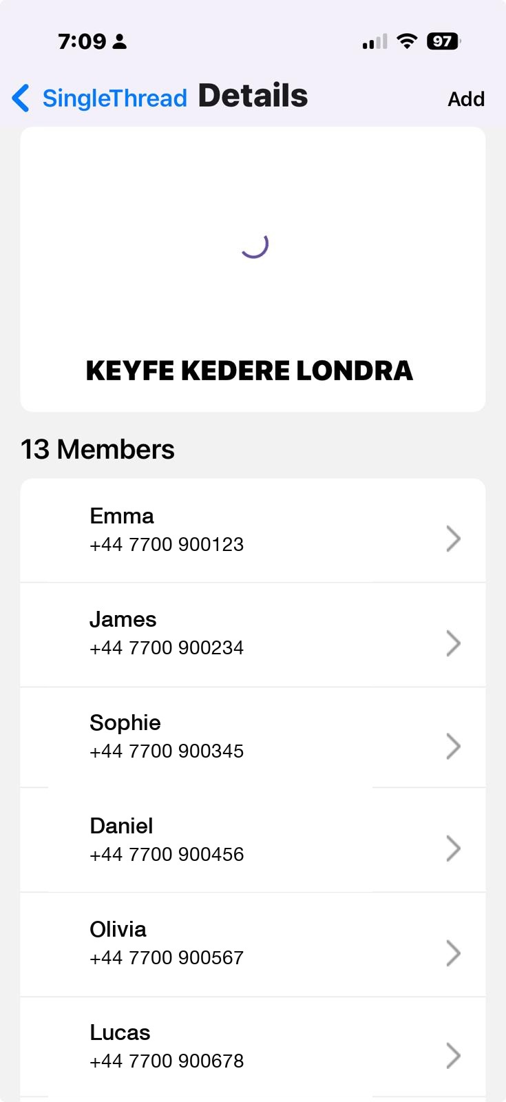 The NatChatt group details for a family thread with thirteen members across the UK and Turkey