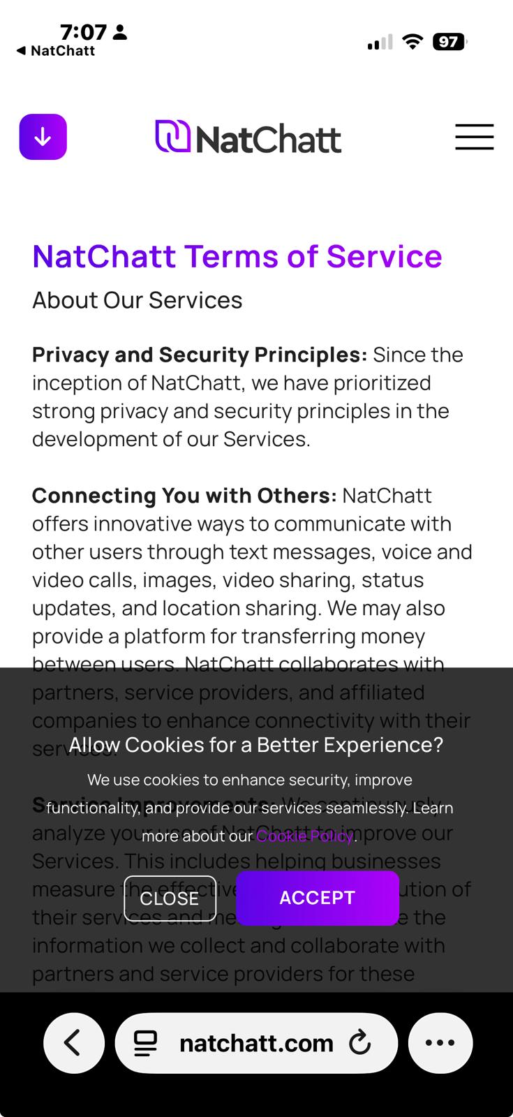 The NatChatt Terms of Service opened inside the app