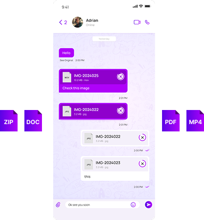 A NatChatt chat with Adrian showing several attached files and images, with file-type chips for ZIP, DOC, PDF and MP4 around the phone
